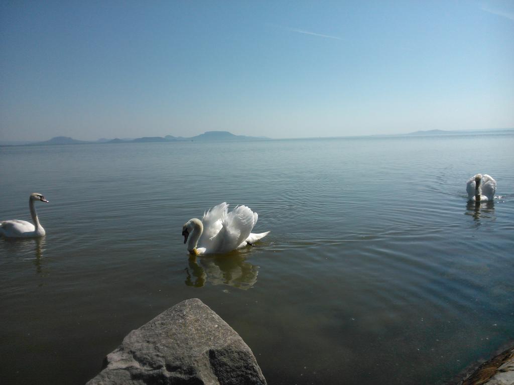 Ferienwohnung Angela Haz Balatonberény Zimmer foto